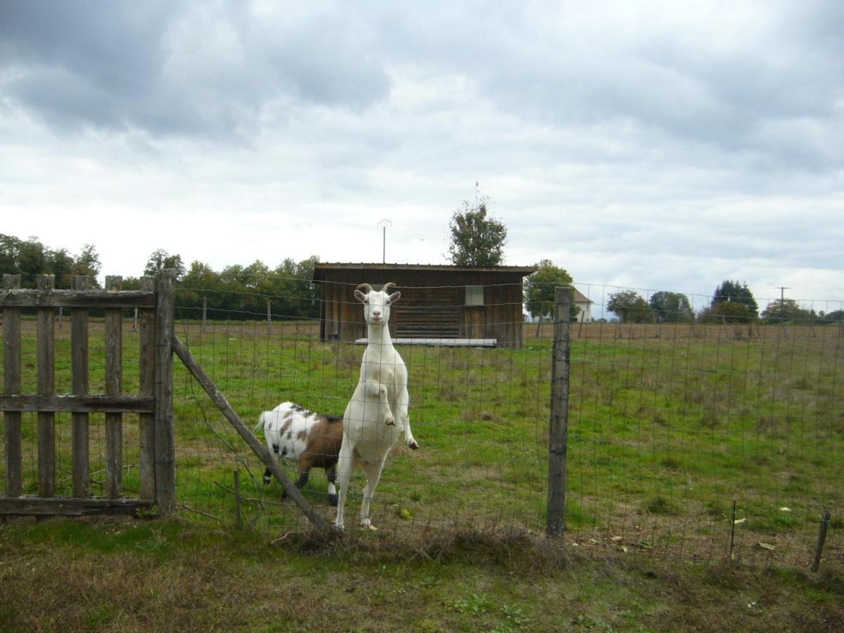 Appartement Le Domaine Des Libellules Proche Walibi Corbelin Luaran gambar